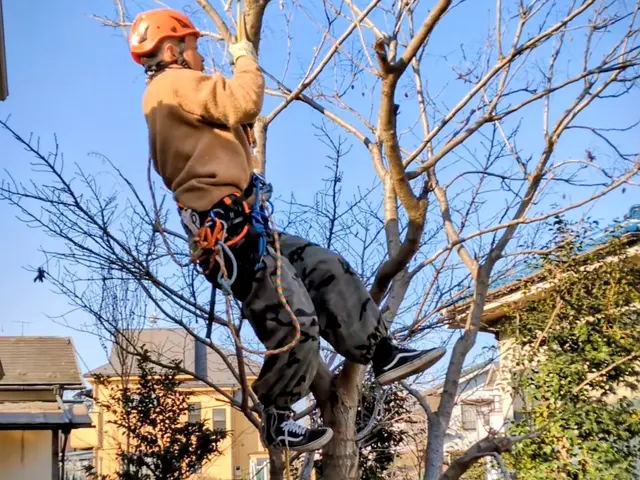 経験27年のSTAFFが、ご満足いただけるように心を込めて剪定します。サービスの画像