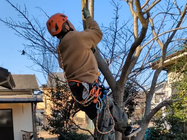 経験27年のSTAFFが、ご満足いただけるように心を込めて剪定します。サービスの画像