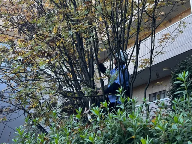 経験5年目〜27年目のSTAFFが、ご満足いただけるように心を込めて剪定します。サービスの画像