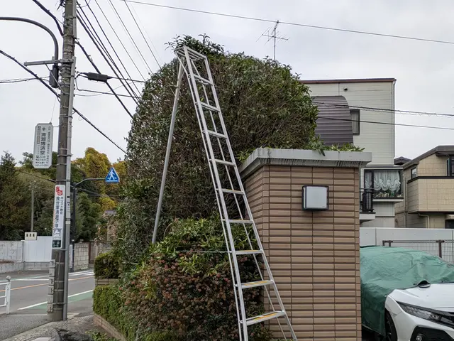 経験5年目〜27年目のSTAFFが、ご満足いただけるように心を込めて剪定します。サービスの画像