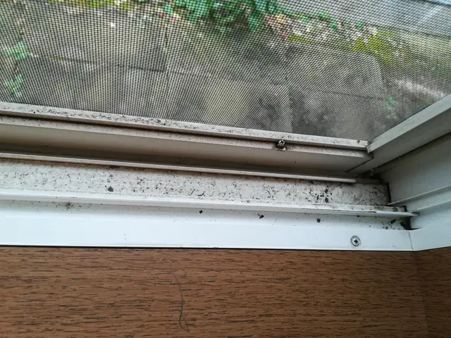 くらしのマーケットマガジン紹介店！総口コミ300件スタッフがお伺い!!サービスの画像