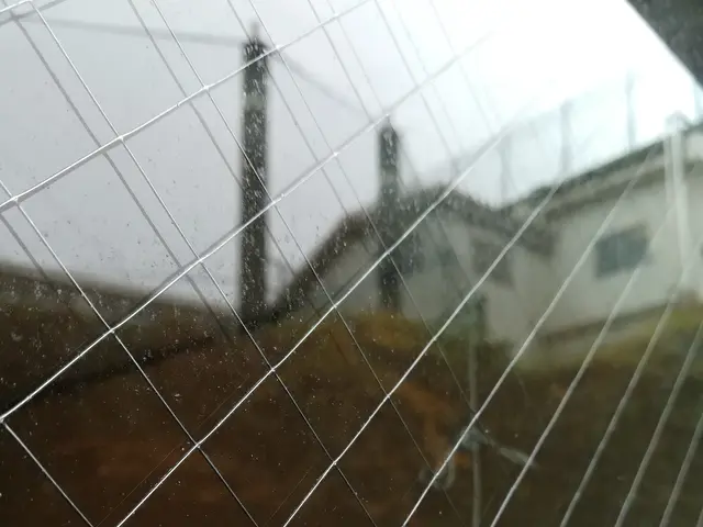 くらしのマーケットマガジン紹介店！総口コミ300件スタッフがお伺い!!サービスの画像