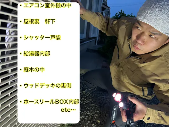 スズメバチ巣1個9,500円　高所、大きさ５０㌢以上は相談下さい（即日対応可能）サービスの画像