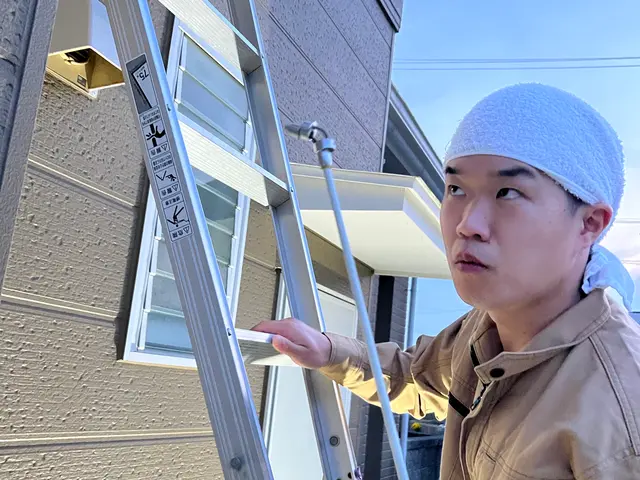 スズメバチ巣1個9,500円　高所、大きさ５０㌢以上は相談下さい（即日対応可能）サービスの画像