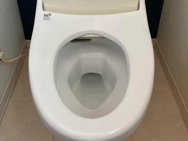 安心の損害保険加入。最後まで丁寧に作業いたします。サービスの画像