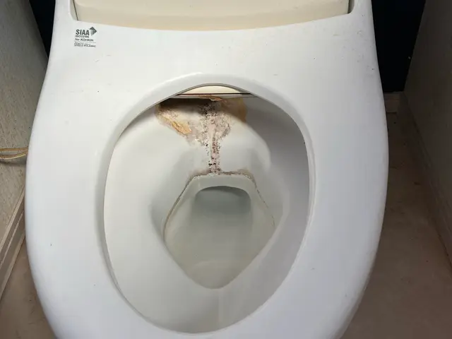 安心の損害保険加入。最後まで丁寧に作業いたします。サービスの画像