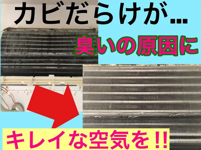 エアコン清掃専門店☆抗菌コート無料！複数台でもっとお得に☆サービスの画像