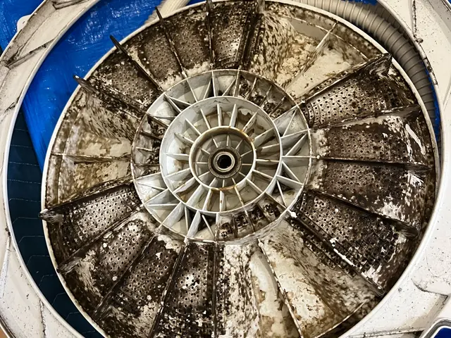 縦型洗濯機　分解洗浄サービスの画像