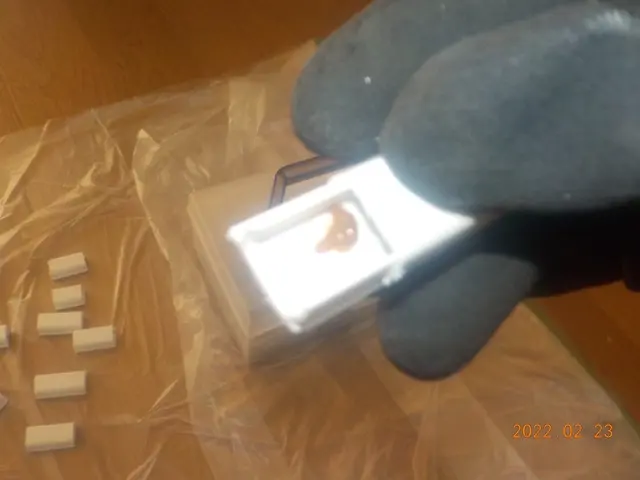 G退治・予防はお任せ下さい♪詳しいサービス内容をご覧ください☆サービスの画像