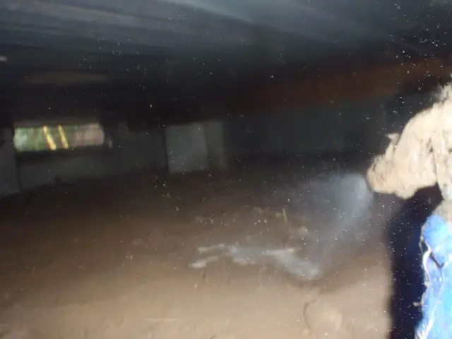 G退治・予防はお任せ下さい♪詳しいサービス内容をご覧ください☆サービスの画像