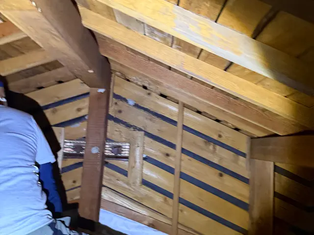 蜂駆除◉関西一円対応 即日対応OK★頼んで満足、安心施工サービスの画像