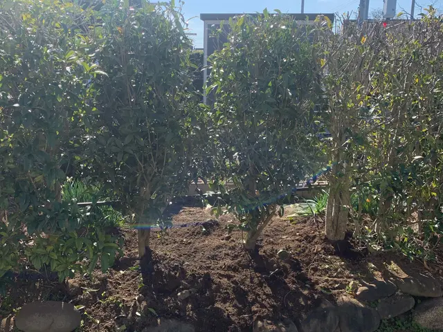 【地域密着】外注作業一切なし！1本のご依頼もお気軽にご相談ください！サービスの画像