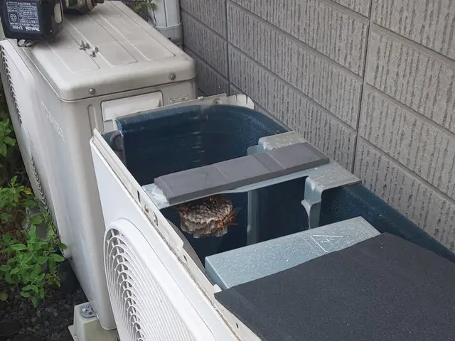 【即日対応時間空有】店長訪問/家全体調査無料☆アシナガ蜂8000円サービスの画像