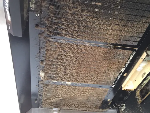 ★ハウスクリーニング技能士在籍★24年の実績★ 新型コロナ対策★次亜塩素酸水使用サービスの画像