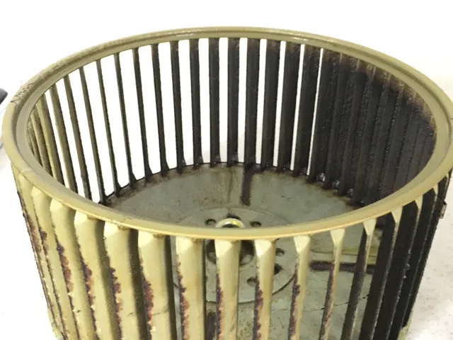 ★ハウスクリーニング技能士在籍★24年の実績★ 新型コロナ対策★次亜塩素酸水使用サービスの画像