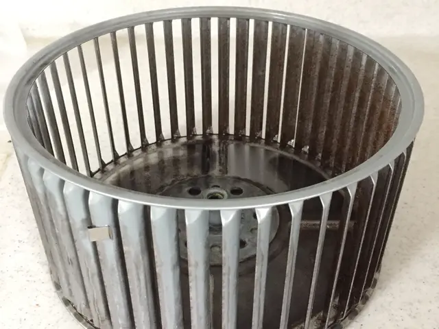 ★ハウスクリーニング技能士在籍★24年の実績★ 新型コロナ対策★次亜塩素酸水使用サービスの画像