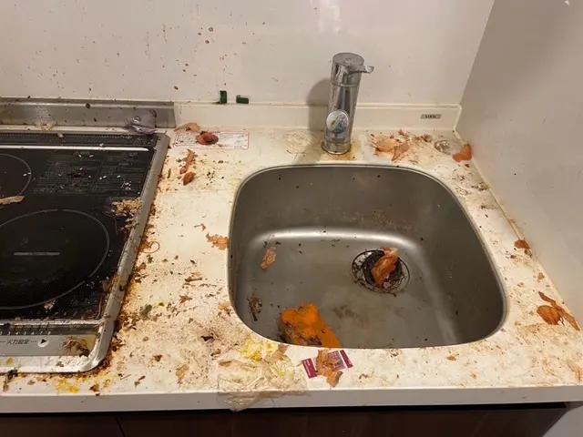 ゴミ屋敷も対応可能★お部屋美人でハッピーになりましょう(^^)サービスの画像