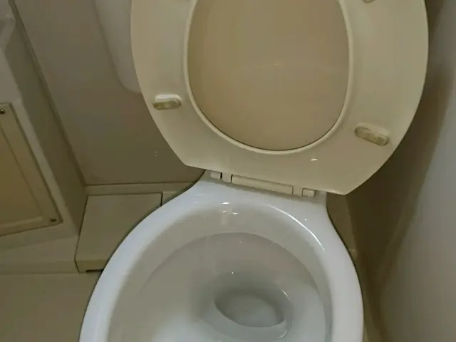 女性スタッフ訪問！　水回りはまとめてのリセット掃除が断然お得！サービスの画像