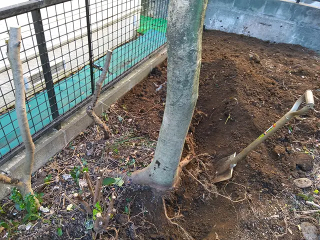 作業外注一切なし◎損害保険に加入済み◎豊富な経験と知識で安心！サービスの画像