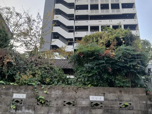 電信柱級の高木も対応！剪定のプロと便利屋の二刀流でお庭のお悩み一括解決サービスの画像