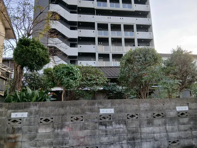 電信柱級の高木も対応！剪定のプロと便利屋の二刀流でお庭のお悩み一括解決サービスの画像