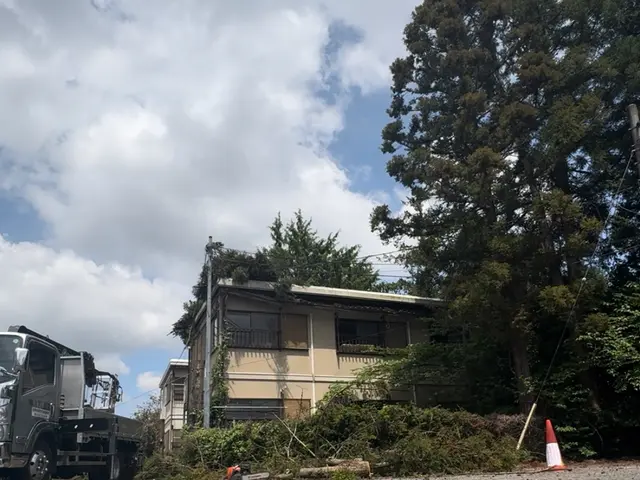 【テレビにも出ました◎】店長が木に登って伐採◎高さを問わない伐採サービスサービスの画像