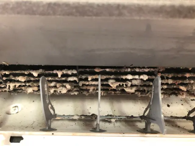 女性2名で伺います！行政取引業者！時間短縮 。エコ洗剤使用！ノーマルタイプ限定サービスの画像