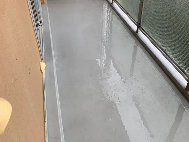 【ベランダ清掃】年内の受付は終了致しました。リピートの方、ご連絡下さい。サービスの画像