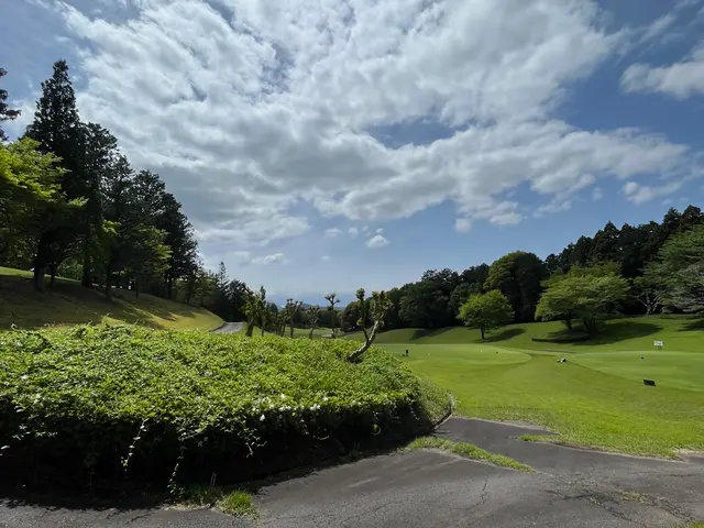 草刈りのご依頼お待ちしております、土地に最適な作業を柔軟に対応しておりますサービスの画像