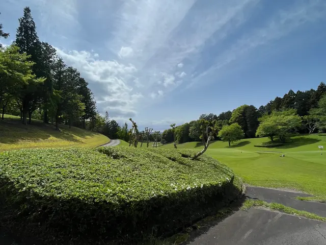 草刈りのご依頼お待ちしております、土地に最適な作業を柔軟に対応しておりますサービスの画像