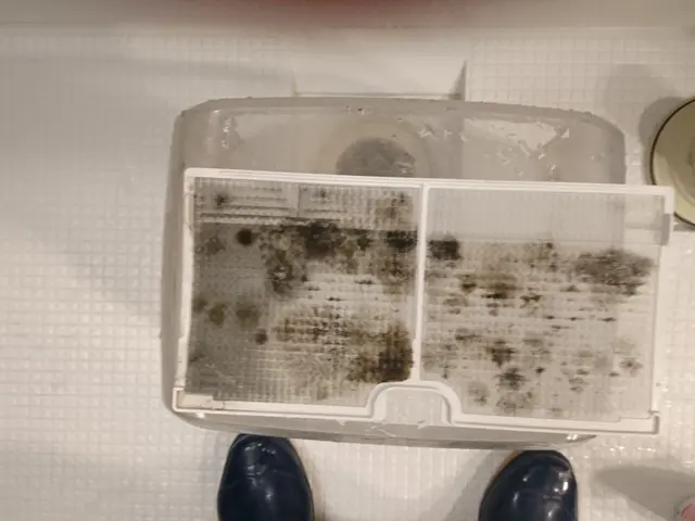 お風呂をキレイにカビなし汚れなしサービスの画像