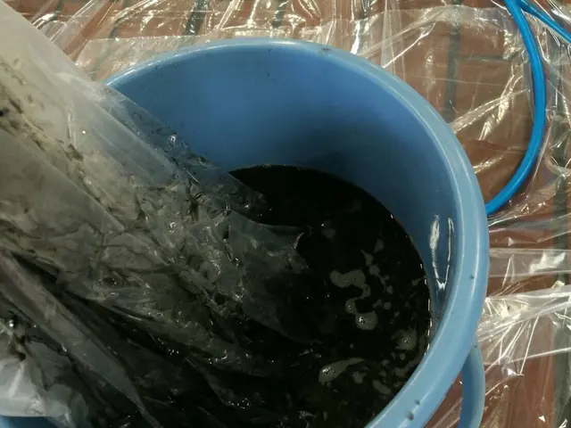 ‼注意‼サイト内予約可能日時地域要確認【有資格者監修】埃カビを除去！消臭コート付サービスの画像