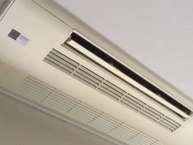 ‼注意‼サイト内予約可能日時地域要確認【有資格者監修】埃カビを除去！消臭コート付サービスの画像