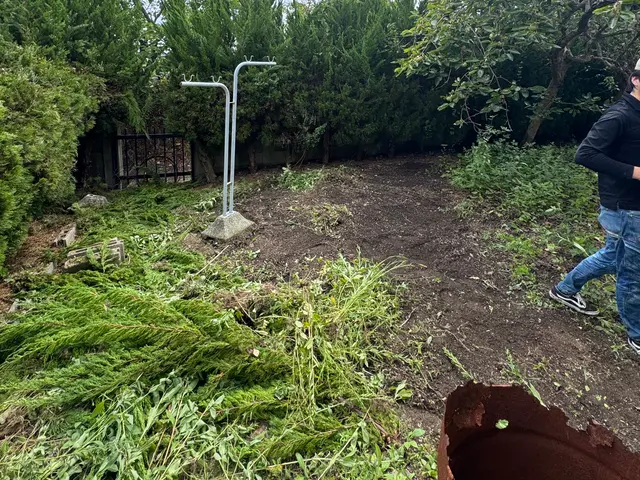 草むしり手作業サービスの画像