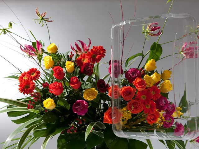 出張カメラマン　店舗　建築　料理　会社案内　等撮影サービスの画像