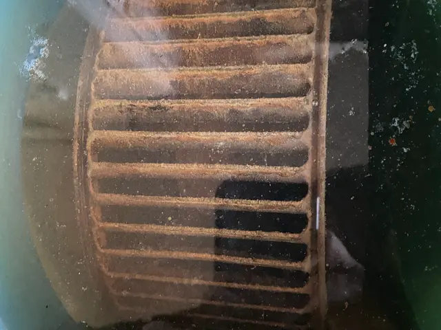 ピカピカにクリーニング‼　どんな汚れもお任せください‼サービスの画像