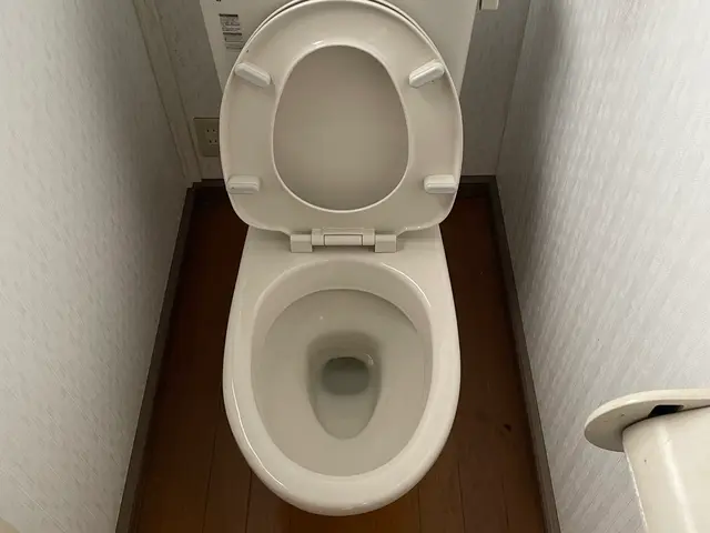 ピカピカにクリーニング‼　どんな汚れもお任せください‼サービスの画像