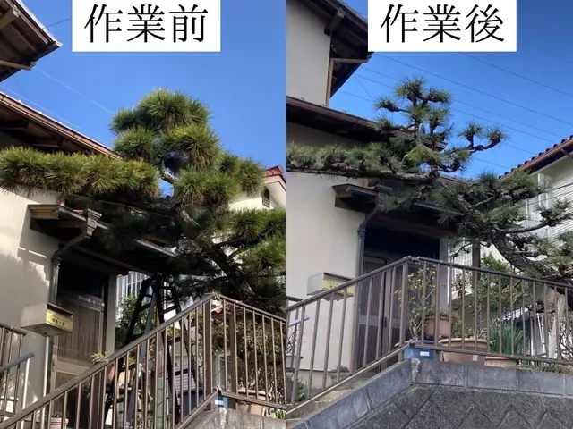 仕事の早さ◎クレカ対応OK◎丁寧で自然な仕上がり◎庭木1本からでもお任せくださいサービスの画像