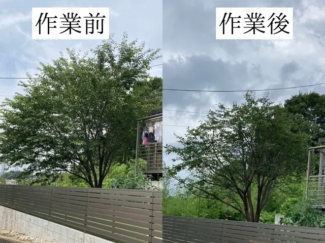 仕事の早さ◎クレカ対応OK◎丁寧で自然な仕上がり◎庭木1本からでもお任せくださいサービスの画像