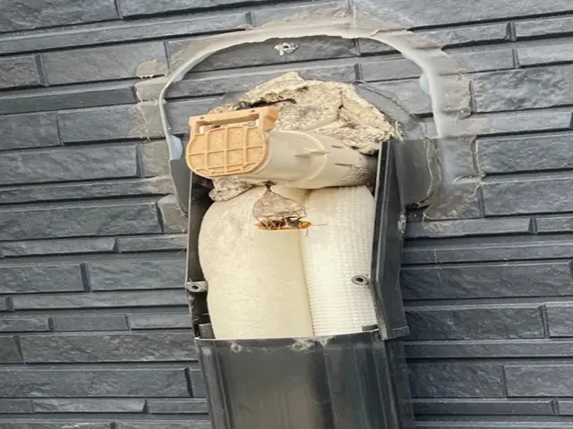 【鹿児島専門店】基本即日対応！駆除はもちろん、戻りバチ対策までセットで行います！サービスの画像