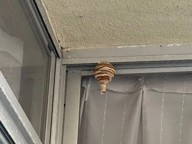 【鹿児島専門店】基本即日対応！駆除はもちろん、戻りバチ対策までセットで行います！サービスの画像