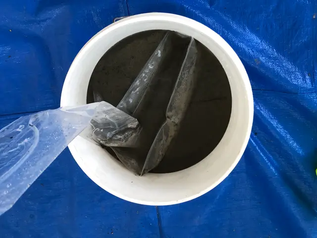 浜松発！カード対応！夜も受付可能！安心の損害保険加入済み！複数台大歓迎！サービスの画像