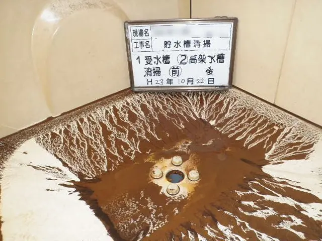 作業外注一切なし★損害保険加入済みだから安心です！サービスの画像