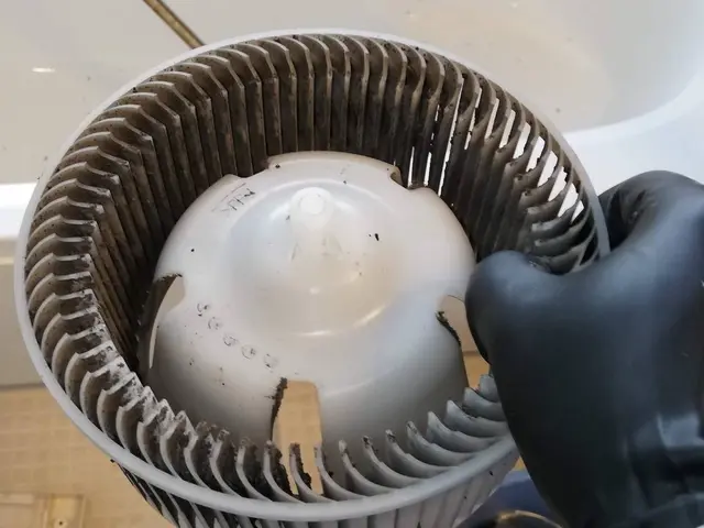 ☆写真や動画でご報告☆平日は妻と2名の場合有☆ホテルやお寺での清掃経験豊富な夫婦サービスの画像