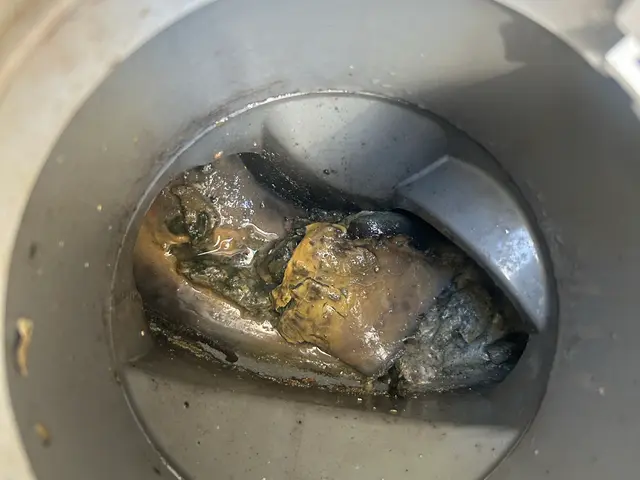 迅速に丁寧に！お客様満足度100%！PAYPAY対応！時間外でもご相談くださいサービスの画像