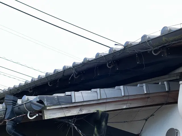 ハト追い出し及び侵入防止施工サービスの画像