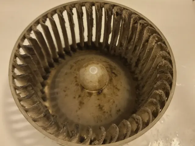 プロの技術でご満足いただけるように心を込めて作業いたしますサービスの画像