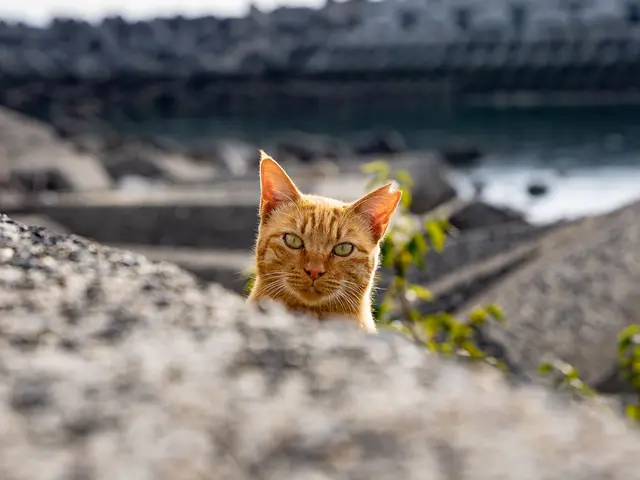 『スポーツインストラクター歴約10年』カメラよりも先に「人」と向き合ってきました