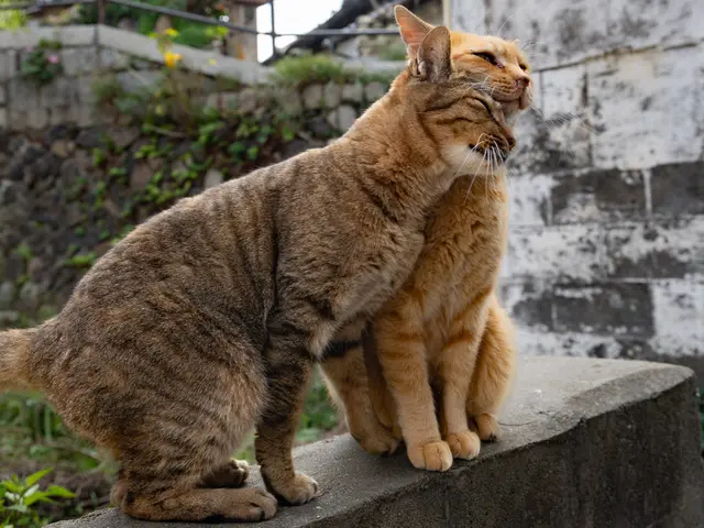 『スポーツインストラクター歴約10年』カメラよりも先に「人」と向き合ってきました