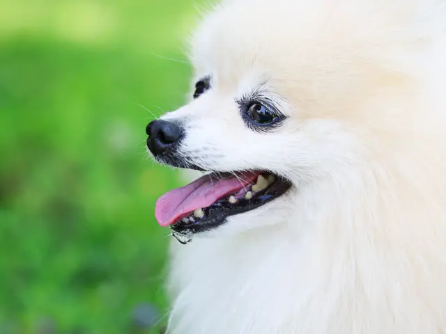 『スポーツインストラクター歴約10年』カメラよりも先に「人」と向き合ってきました